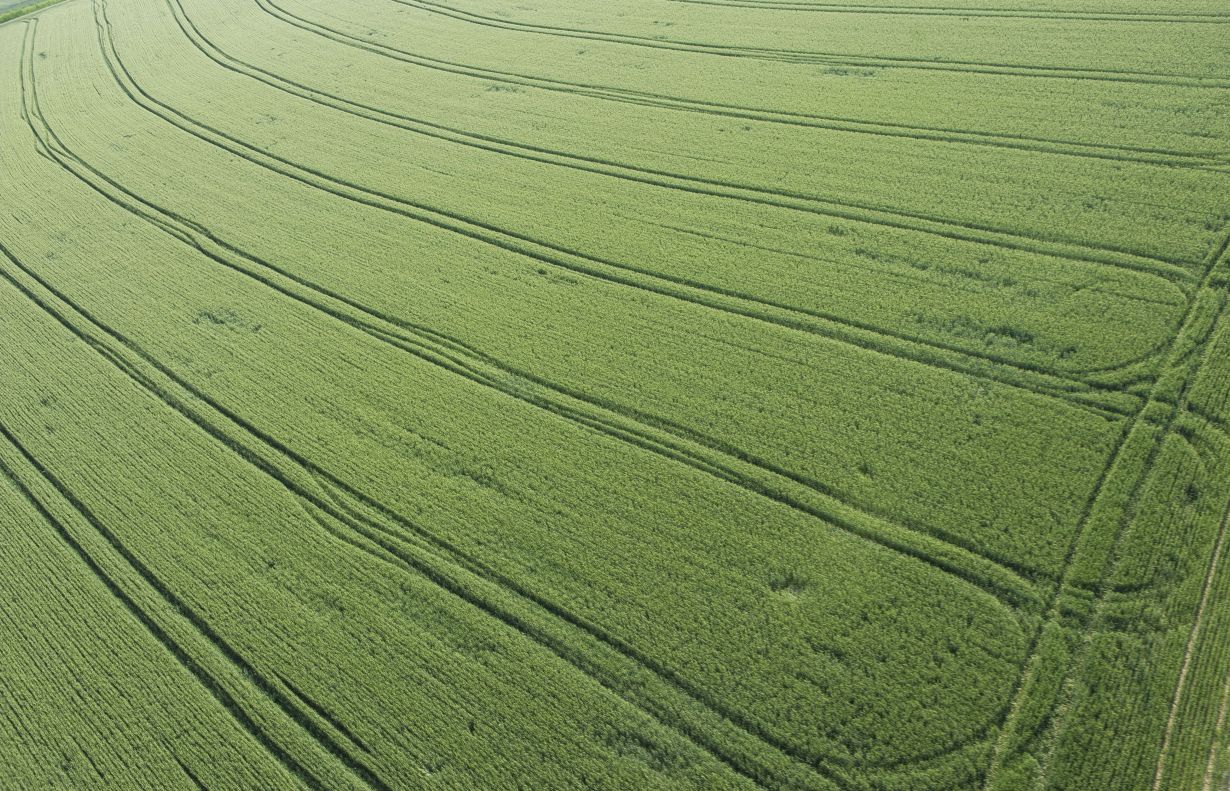 Zweischneidig: Grund für das zunehmende Grün sind Ertragssteigerungen in der Landwirtschaft – die Dünger und vermehrte Bewässerung brauchen. (Foto: Markus Breig, KIT)