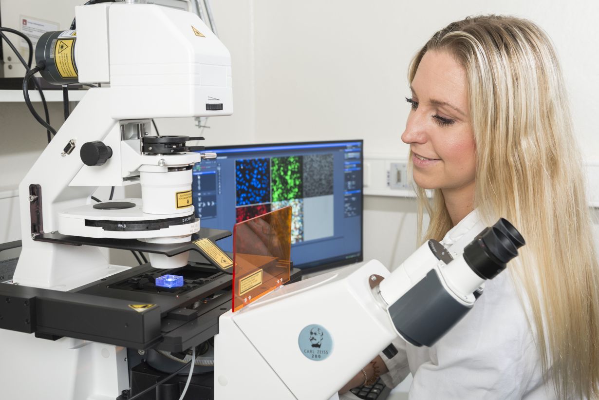 Daten aus vielen Laboren nachhaltig und gemeinschaftlich nutzen, ist das Ziel des neuen Science Data Centers MoMaF. (Foto: Laila Tkotz/KIT)