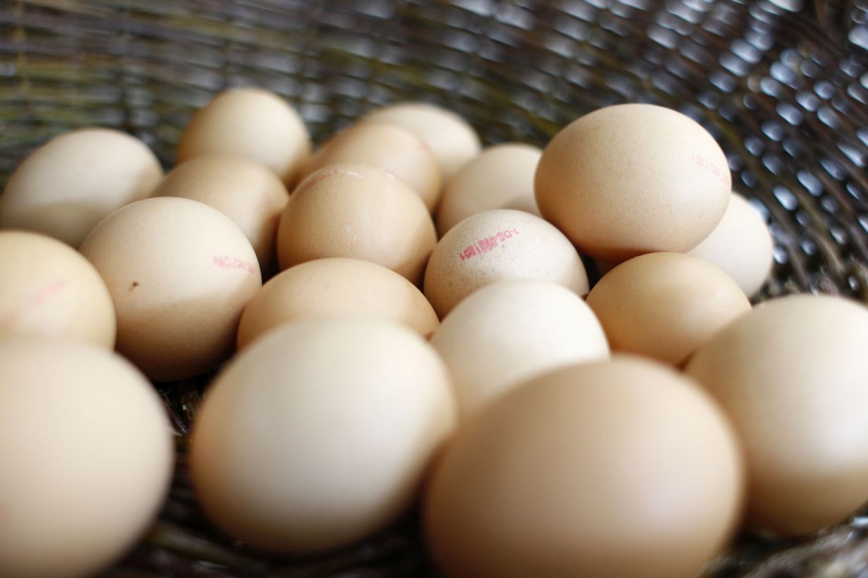 Eierschalen bestehen aus porösem Calciumcarbonat, das sich sehr gut für elektrochemische Speicher eignet. (Foto: Manuel Balzer, KIT)