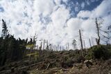 Deforestation as well as intensive farming and pastoral agriculture – human land use is equally contributing to climate change as fossil power plants and internal combustion engines (source: Markus Breig/KIT)