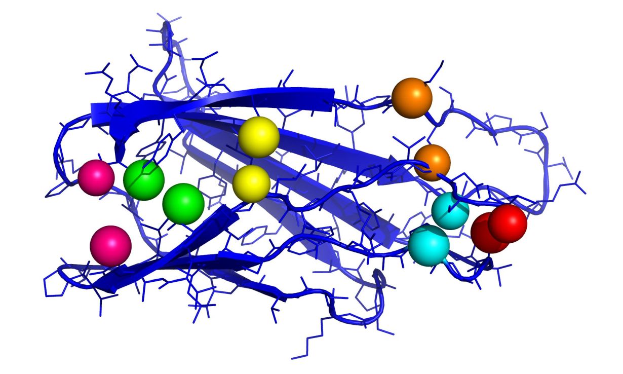 2019_106_KI zur Vorhersage von Proteinstruktur entwickelt_72dpi