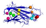 2019_106_KI zur Vorhersage von Proteinstruktur entwickelt_72dpi