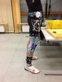 Mobile Sensoren messen die Bewegung des Kniegelenks. Die Messwerte bilden die Trainingsdaten für Algorithmen des maschinellen Lernens, um die Belastung des Kniegelenks schätzen zu können. (Foto: IfSS) 