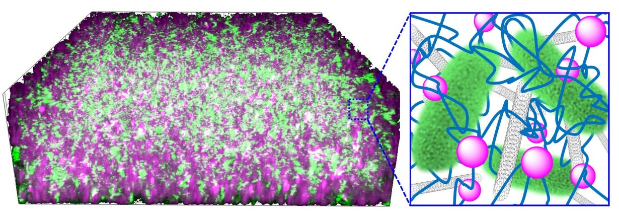 2020_033_Neues Materialsystem mit stromproduzierenden Bakterien_72dpi