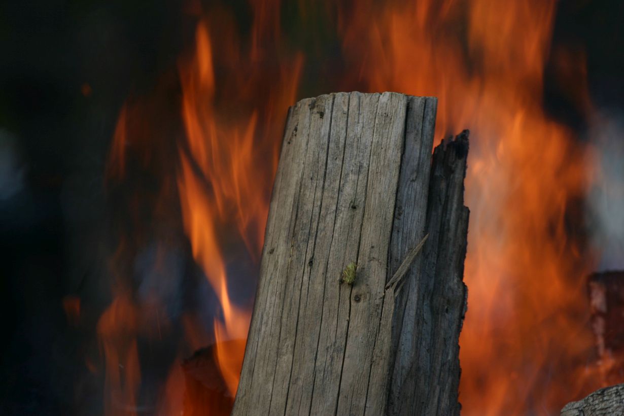 Modelle sollen vorhersagen, wie sich ein Feuer im Wald unter den vorhandenen Bedingungen ausbreitet. (Foto: Gabi Zachmann, KIT)