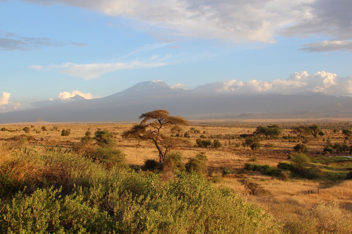 Der Kilimandscharo prägt das Bild von Ostafrika. Dort sind die Auswirkungen des Klimawandels bereits deutlich zu spüren. (Foto: Harald Kunstmann, KIT)