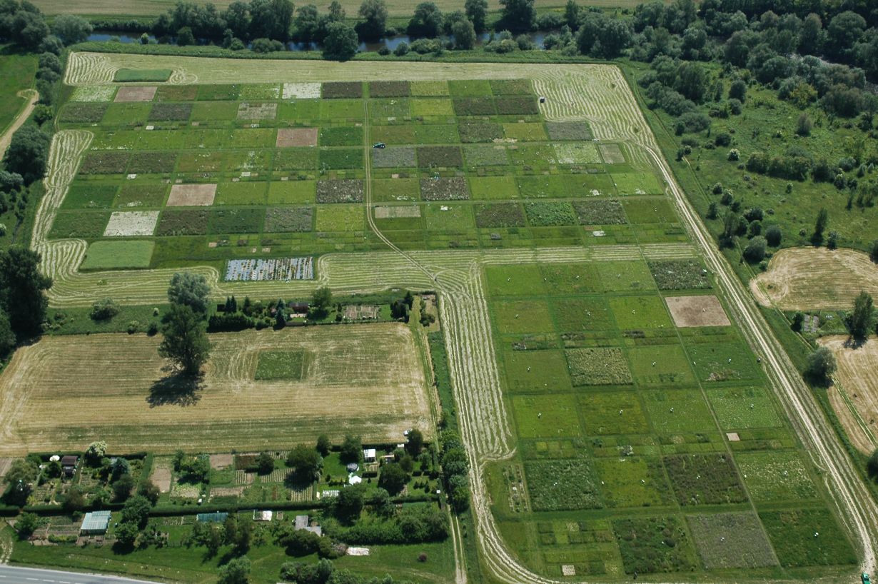 The Jena Experiment, one of the biggest and longest experiments on biodiversity, studied the effects of biodiversity on grassland. (Photo: Jena Experiment)