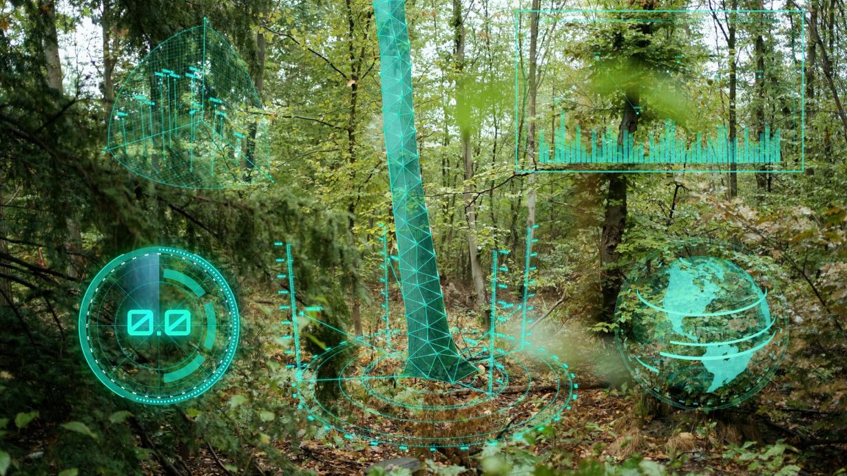 Support of local foresters: KIT and EDI GmbH develop an AI-based assistance system for forest management. (Montage: Dominic Hohlbaum/ Triebfeder)