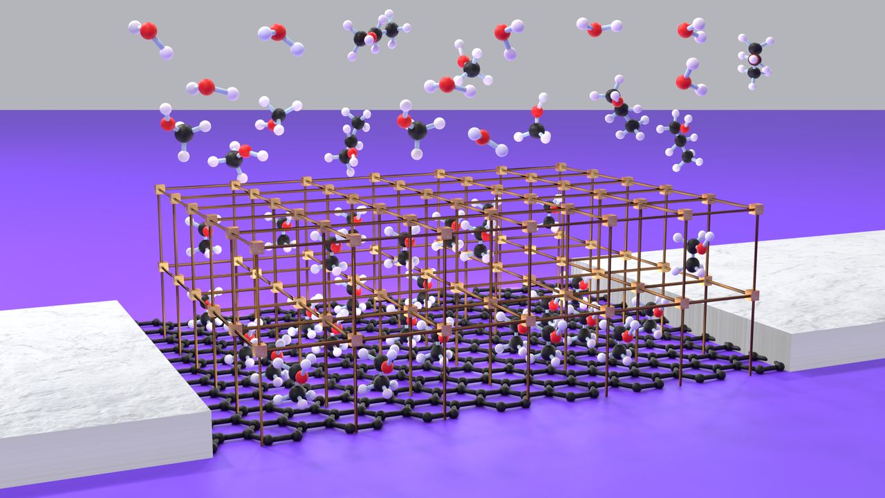 The sensor unit consists of a graphene field effect transistor on which a surface-mounted metal-organic framework is grown. (Figure: Sandeep Kumar, KIT)