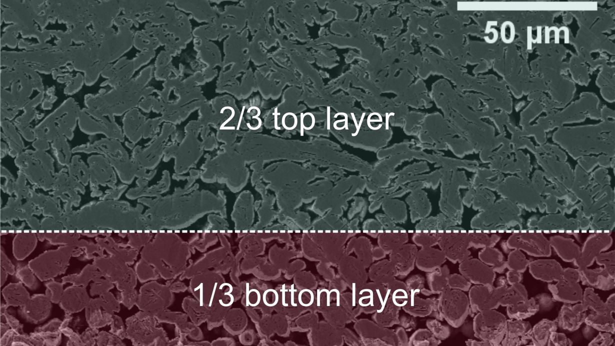 Scanning electron microscopy of a multi-layered electrode cross section: Different active materials are used for the layers and applied simultaneously. (Figure: Joyce Schmatz, MaP - Microstructures and Pores GmbH, and Jana Kumberg, KIT) 