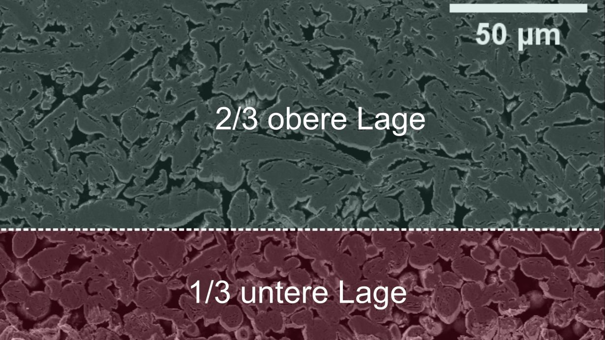 Rasterelektronenmikroskopischer Querschnitt durch eine mehrlagige Elektrode: Für die einzelnen Schichten werden verschiedene Aktivmaterialien eingesetzt und simultan appliziert. (Abb.: Joyce Schmatz, MaP – Microstructures and Pores GmbH, und Jana Kumber