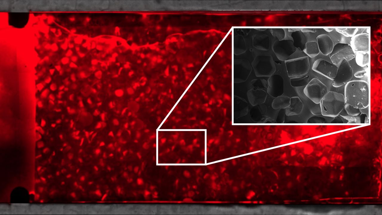 Die schwammähnliche Struktur des Chips (in grau) wurde mit Salzkristallen erzeugt. Die roten Mikroorganismen besiedeln sie im Labor innerhalb weniger Tage.   (Foto: Institut für Biologische Grenzflächen-1, KIT) 