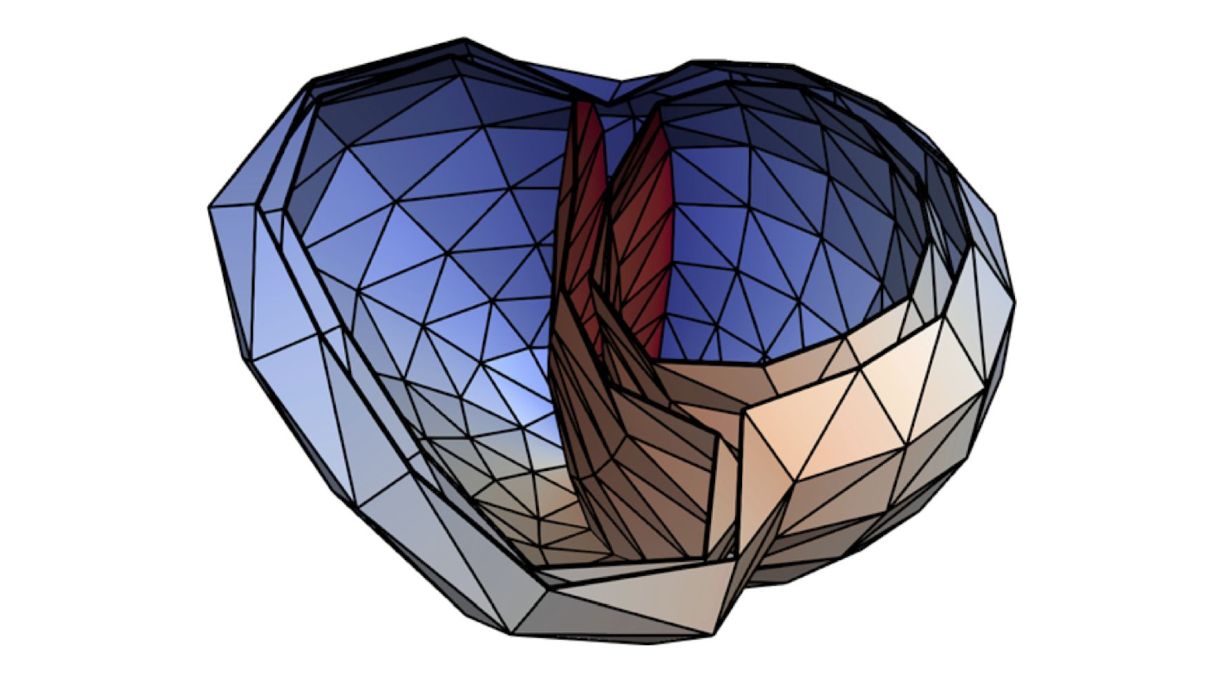 Koordinatendarstellung der Herzkammern. (Grafik: Dr. Axel Loewe, KIT)