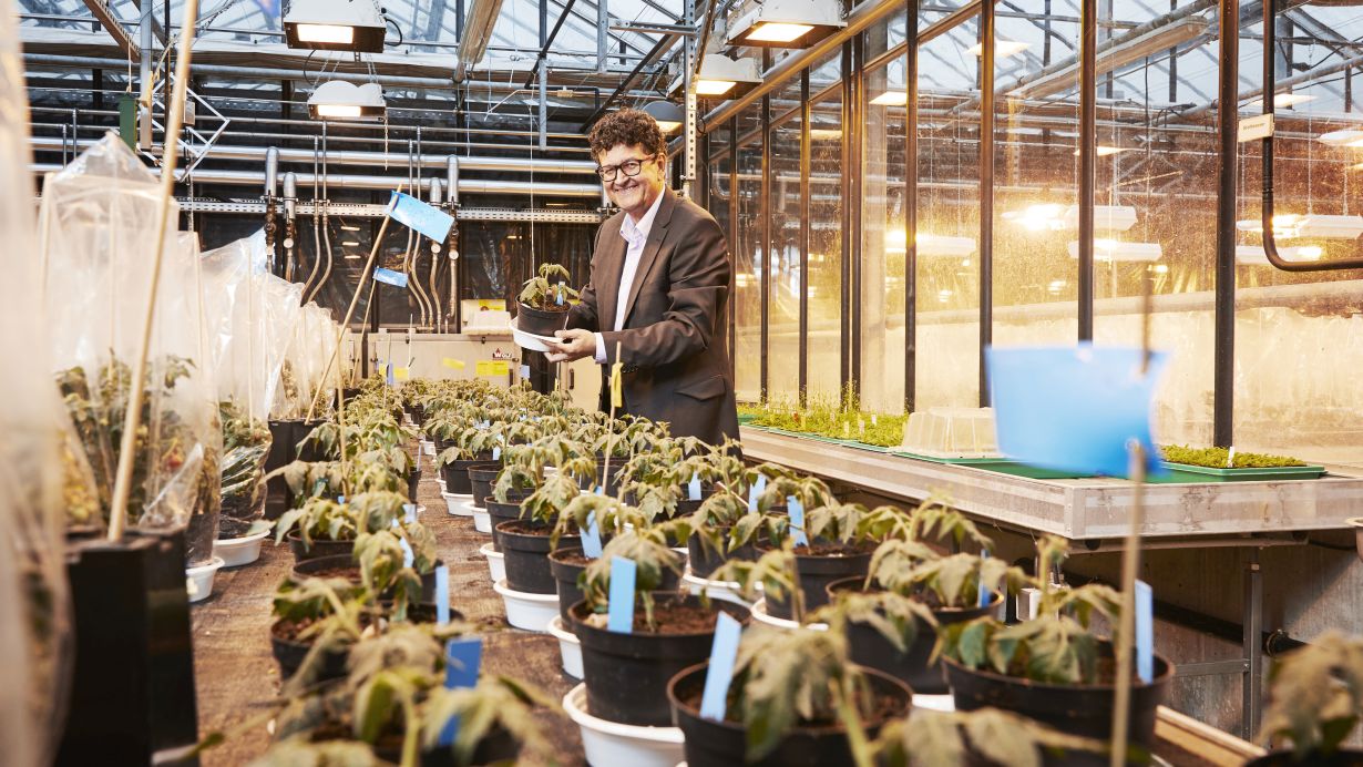 Holger Puchta setzte als erster Wissenschaftler molekulare Scheren zur Genomveränderung bei Pflanzen ein. (Foto: Sandra Göttisheim, KIT) 