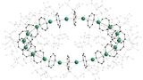 Cyclocen heißt die neuartige Molekülstruktur, in der Sandwich-Komplexe erstmals einen nanoskalige Ring formen. (Abbildung: Nature / AOC, KIT) 