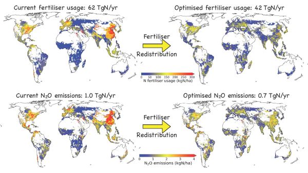 Modelle zeigen, dass sich eine weltweite Umverteilung des Einsatzes von Stickstoffdünger positiv auf die Lachgasemissionen auswirken würde. (Foto: Andrew Smerald, KIT)