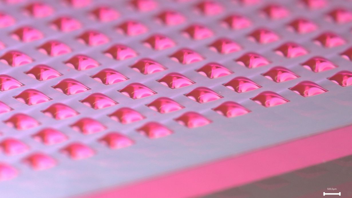 Liana Bauer, KIT 2025_059_Mit Nanotroepfchen zur effizienten Wirkstoffforschung_72dpi