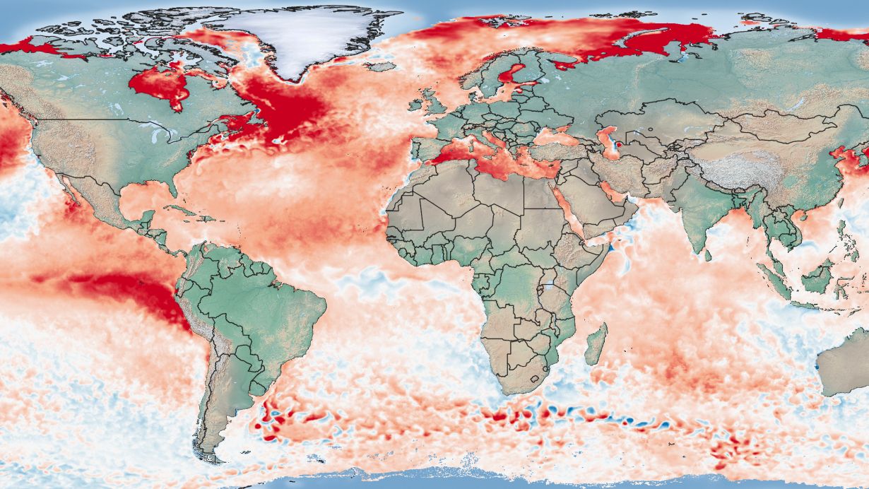 Anomalie der Meeresoberflächentemperatur vom 31.Juli 2023 (Bezugszeitraum 1985 bis 2012; Daten von NOAA/Coral Reef Watch). (Grafik: Bernhard Mühr, CEDIM/KIT)