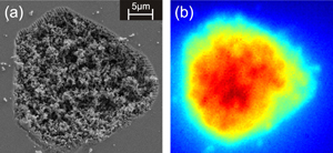  Zinc oxide nanocrystals under the electron microscope (left). 