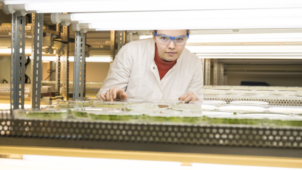 KIT University of Excellence: Research Environment for Women in Science